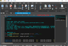 IDM UltraEdit Pro v28.0.0.66 文本编辑器软件多语言免费版-老康的学习空间