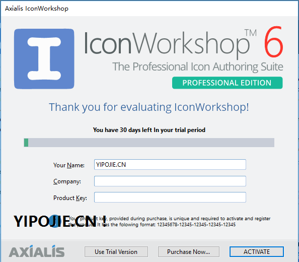 IconWorkshop