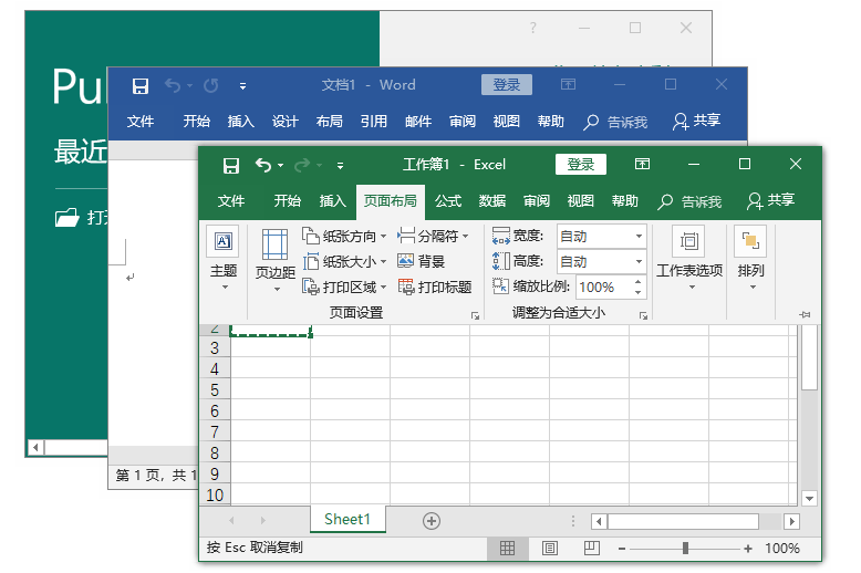 Microsoft Office Pro 2019