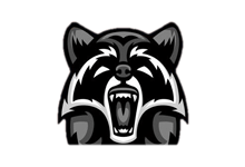 Raccoon 一款开源服务器侦察和漏洞扫描高性能安全工具 - 易破解