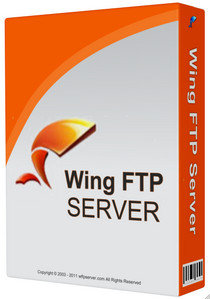 Wing FTPServer Corporate v6.6.2 x32 中文企业特别版-星谕软件