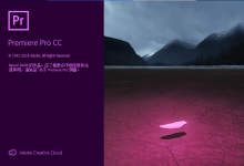 Adobe Premiere Pro 2019 v13.1.5.47 视频编辑软件绿色版-老康的学习空间