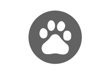 百度搜索打造的熊掌号从几方面看可以证实团队已解散 - 易破解