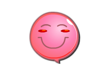 信息管理 Efficient Ladys Organizer v5.60 中文特别版 - 易破解