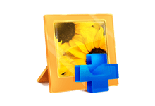 Starus Photo Recovery v5.2.0.0 数字图像数据恢复工具
