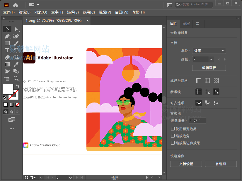 Adobe Illustrator 2021