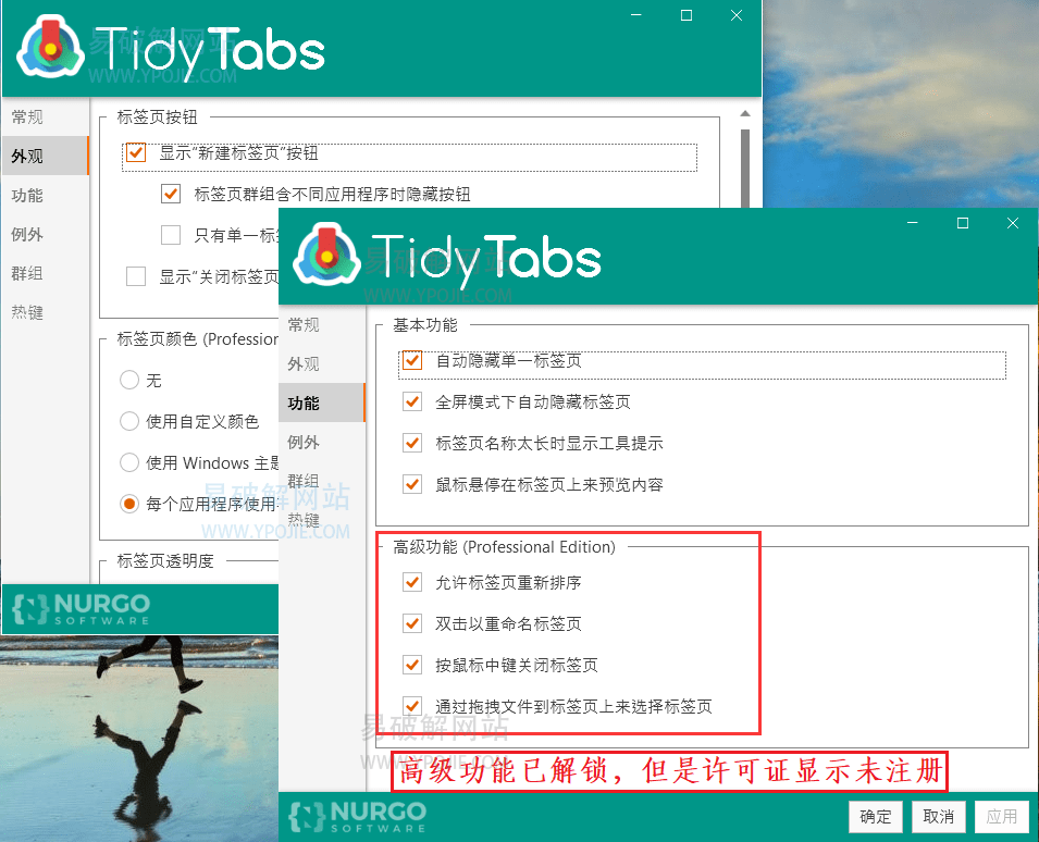 TidyTabs Pro v1.20 多窗口标签页面合并管理软件特别版-星谕软件