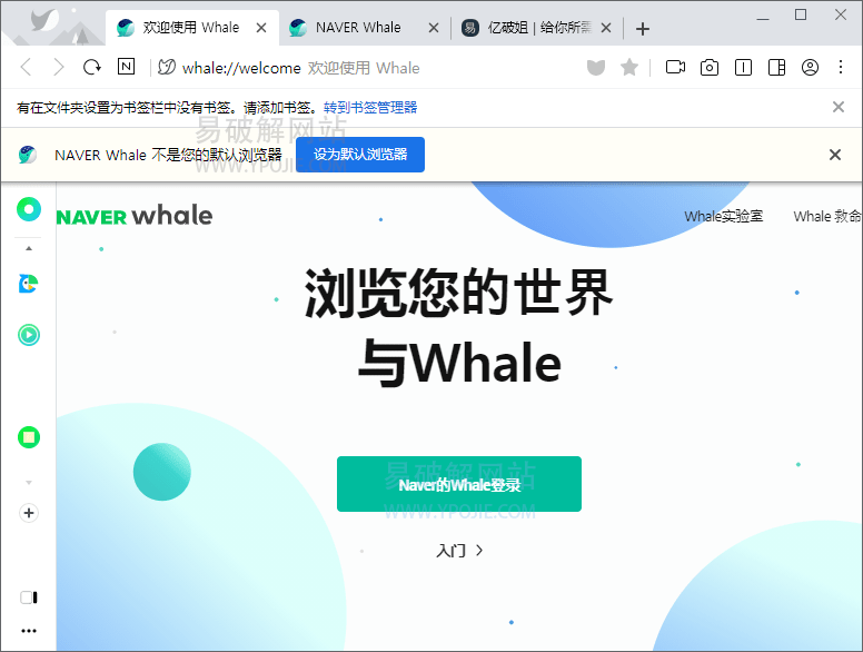 Whale