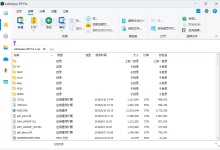Ashampoo ZIP Pro v4.50.01 文档解压缩软件中文特别版-老康的学习空间