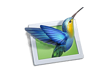 PTE AV Studio Pro v11.0.20.1 幻灯片制作软件绿色版 - 易破解